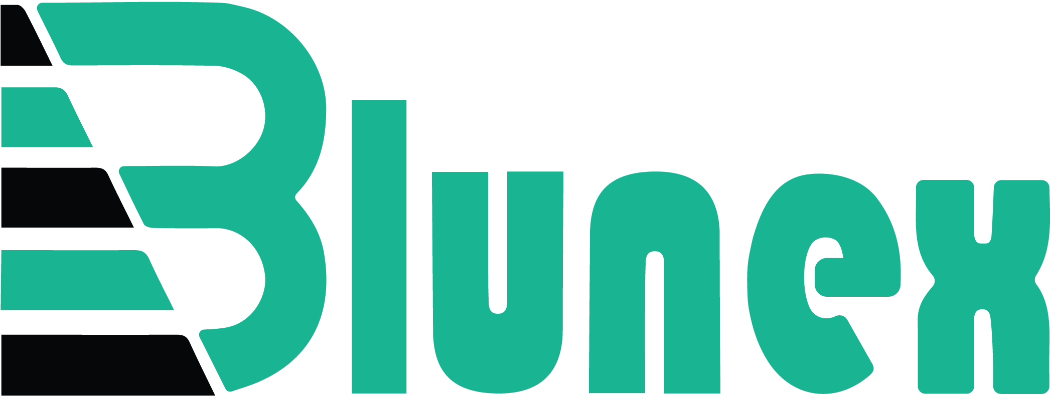 Logo Blunex
